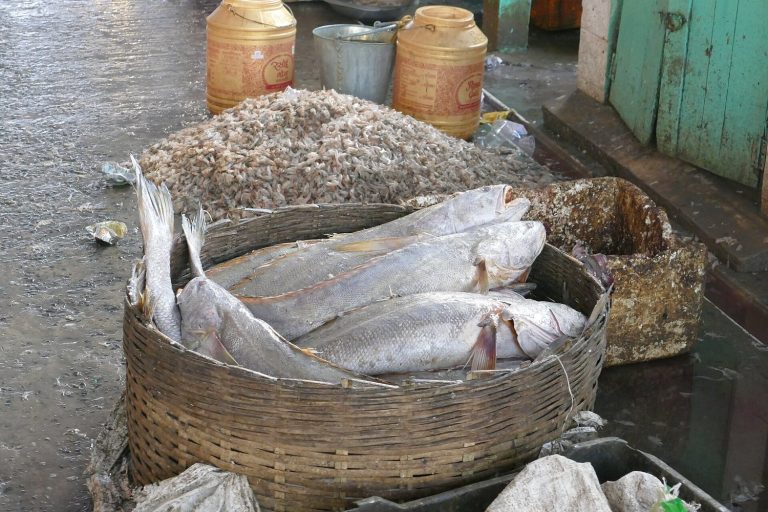 Ekonomi Maritim Membutuhkan Laut yang Tetap Produktif